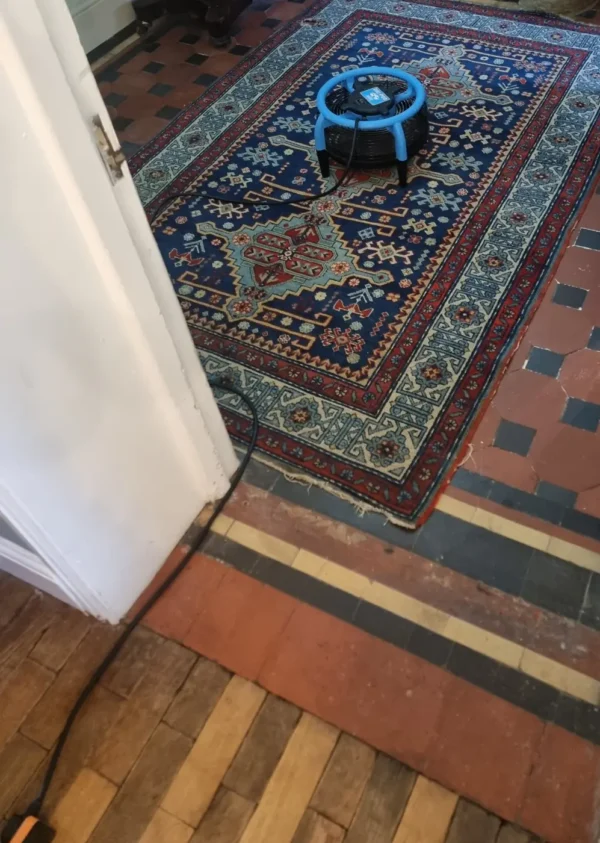 Persian rug drying with an air mover on a Victorian tiled hallway floor in Tewkesbury