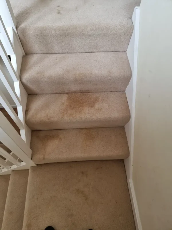 Stair carpet stains before cleaning Stair carpet stains before cleaning