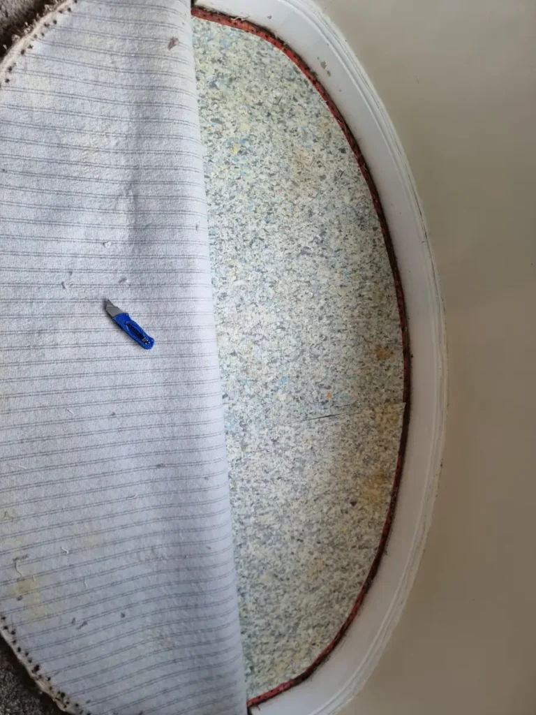 Carpet underlay damaged by pet urine