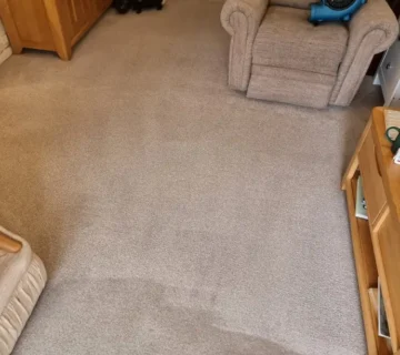 Freshly cleaned lounge carpet with an air mover speeding up drying
