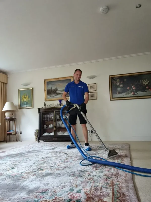 Cleaning a Chinese Aubusson-style hand-carved wool rug in a Cheltenham living room Cleaning a Chinese Aubusson-style hand-carved wool rug in a Cheltenham living room