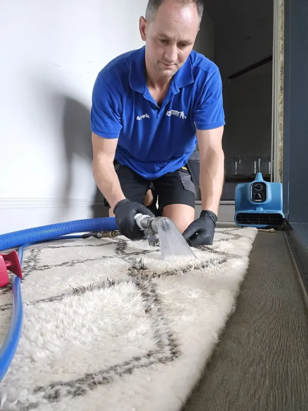 Stain removal on a Moroccan-style wool shaggy rug in Cheltenham Stain removal on a Moroccan-style wool shaggy rug in Cheltenham