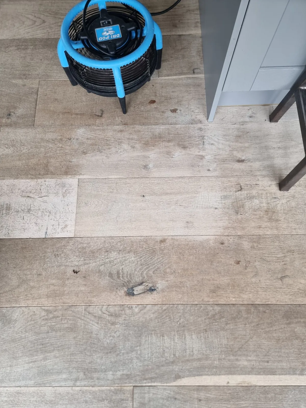 oak-floor-cleaning-test-area Oak floor cleaning test area showing the cleaned section