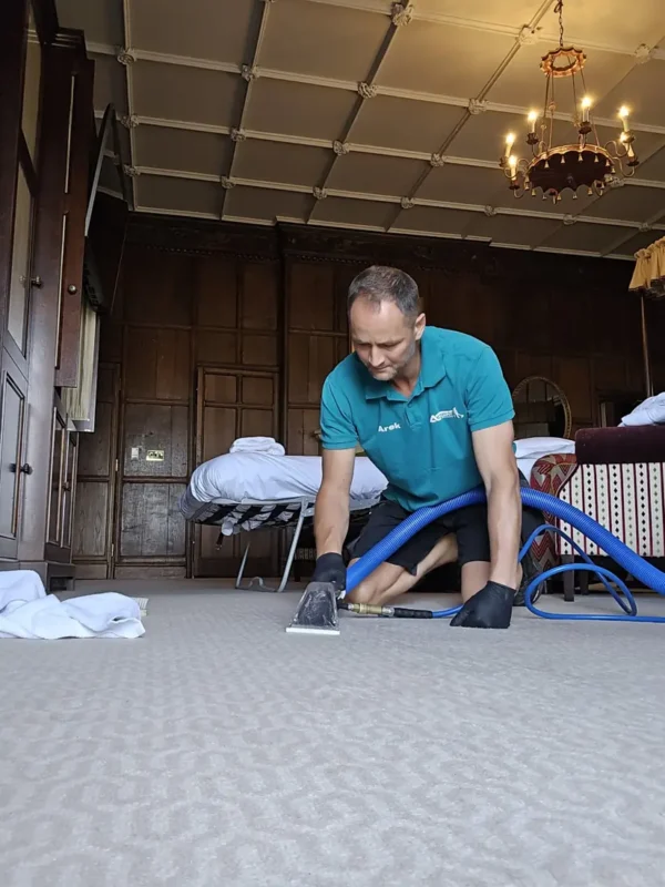 Removing a red wine stain from a wool carpet in a historic hotel Removing a red wine stain from a wool carpet in a historic hotel
